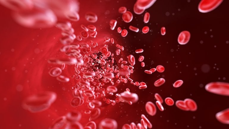 Rote Blutkörperchen im Blut