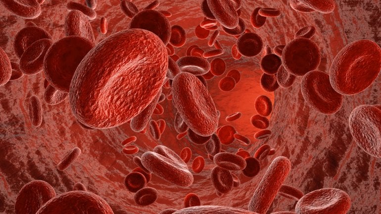 Blutwerte: Cholesterin