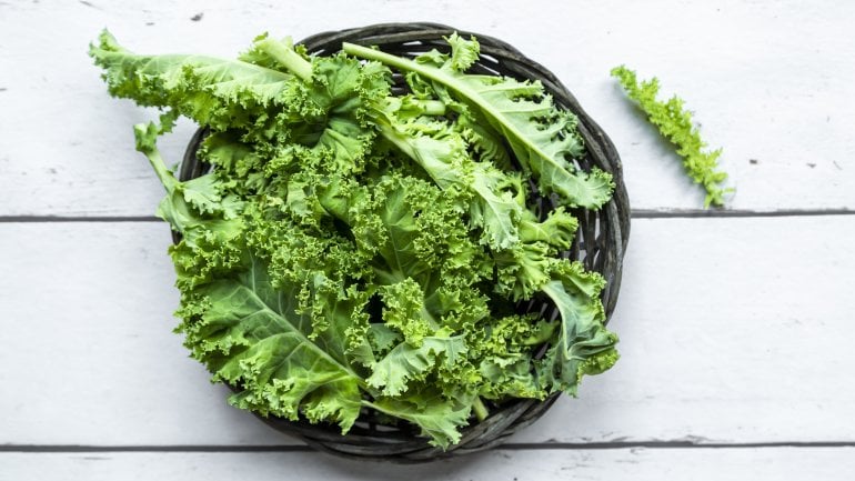 Gemüse mit viel Calcium: Grünkohl