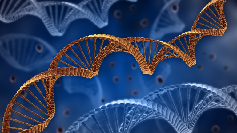 Das Bild zeigt eine DNA-Helix.