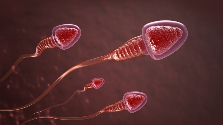 Illustration: Spermien.