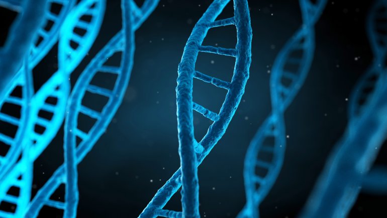 Genetische Mutationen häufen sich durch Inzest