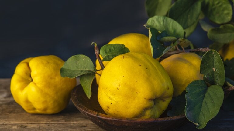 Quitten: Kalorienarmes Winterobst mit Ballaststoffen