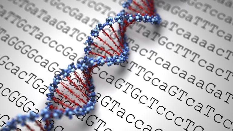 Das Modell einer DNA-Doppelhelix liegt auf einem Ausdruck der Ausschnitte eines genetischen Codes zeigt.