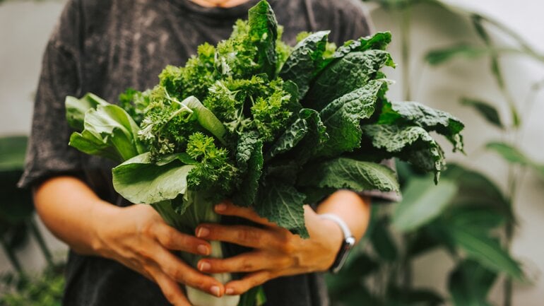 Grünes Blattgemüse: Lebensmittel für reine Gefäße