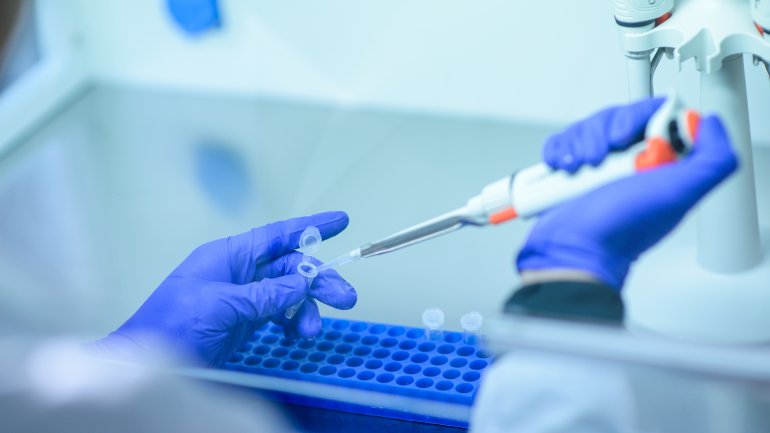 DNA-Untersuchungen im Labor