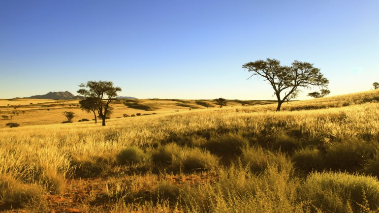 Afrikanische Savanne im Namib-Naukluft Nationalpark.