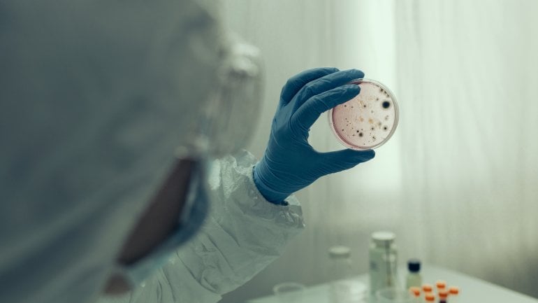Cholera: Laborpersonal untersucht Bakterienkultur.