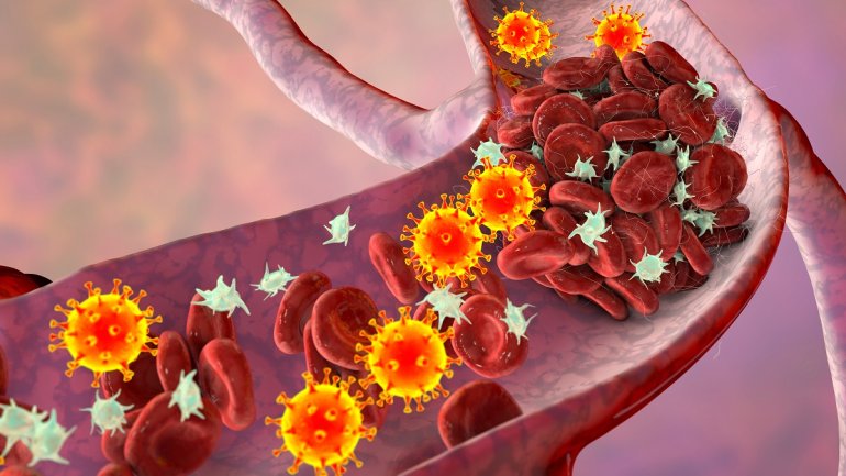 Thrombose Animation Corona-Virus