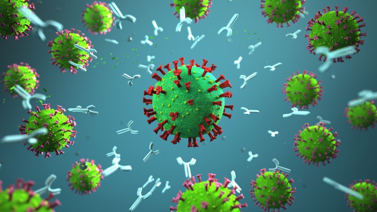 Animierter Coronavirus und Antikörper