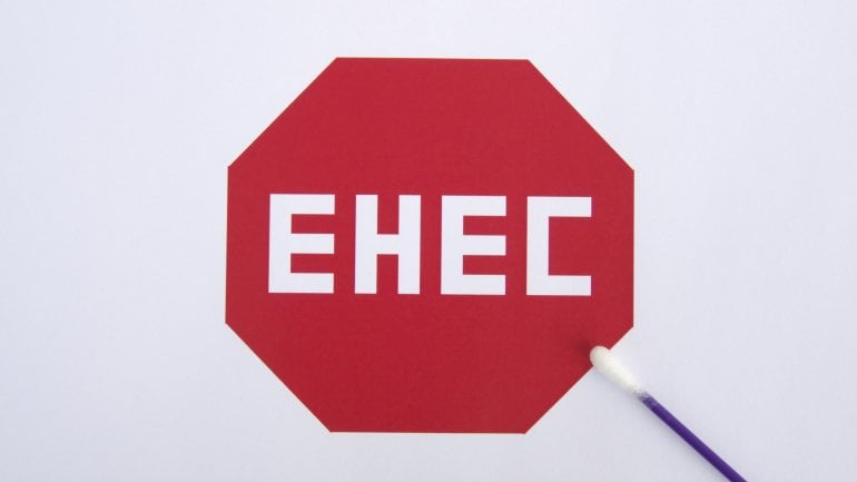 Das Bild zeigt ein Stopschild mit EHEC darauf.