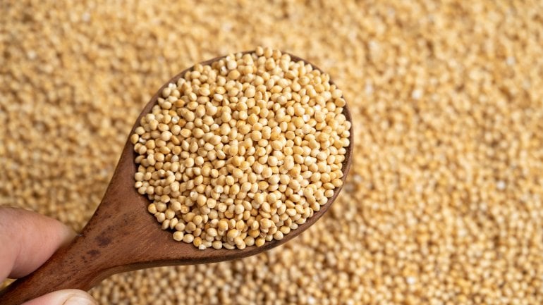 Pflanzliche Option: Hirse ist eisenhaltiges Lebensmittel