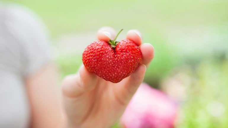 Erdbeeren können die Herzgesundheit unterstützen