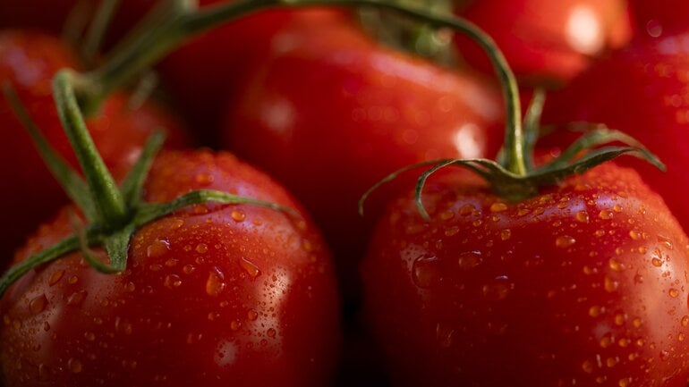 Tomaten sind blutdrucksenkendes Lebensmittel