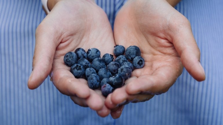 Blaubeeren zählen zum Obst mit wenig Fruchtzucker