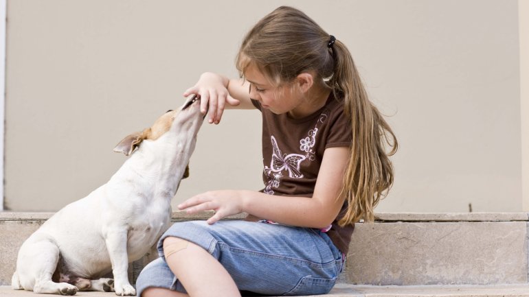 Das Bild zeigt ein Mädchen und einen Hund.