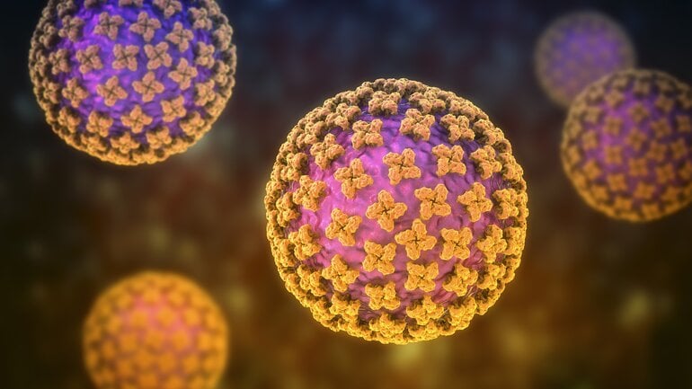 Was ist das Andesvirus?