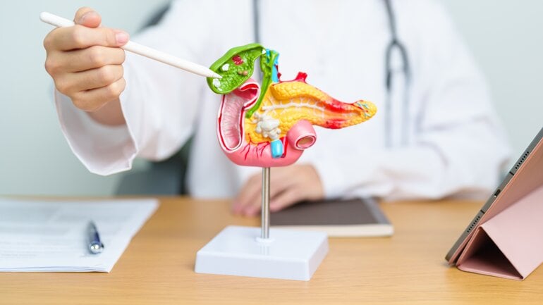 Selbstregeneration der Bauchspeicheldrüse ist nur teilweise möglich