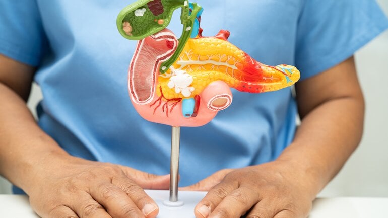 Was genau ist die Bauchspeicheldrüse?