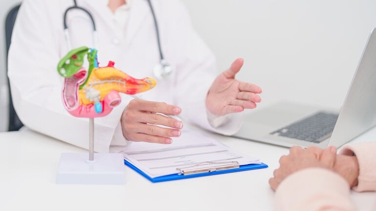 Welche Funktionen hat die Bauchspeicheldrüse?