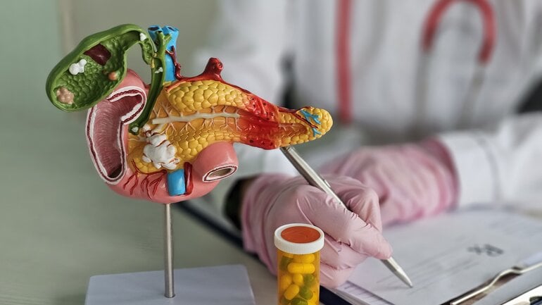 Bauchspeicheldrüse: Ist eine Selbstheilung möglich?