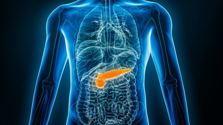 Wo liegt die Bauchspeicheldrüse?