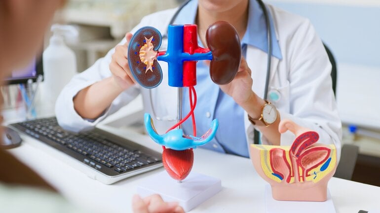 Zu hoher Blutdruck: Folgen für Nieren