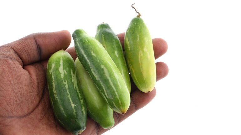 Blutzucker schnell senken: Hausmittel ist Efeukürbis