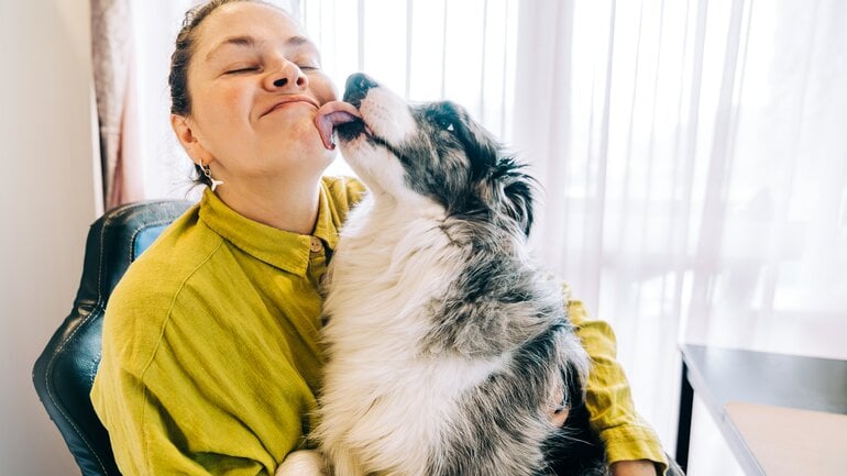 Borreliose: Sind Haustiere ansteckend?
