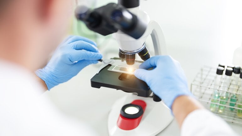 Borrelien lassen sich auch direkt nachweisen