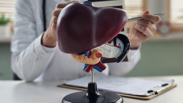 Leberfibrose: Mögliche Folge einer Fettleber