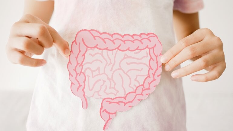 Dünndarmfehlbesiedelung kann Fettstuhl verursachen