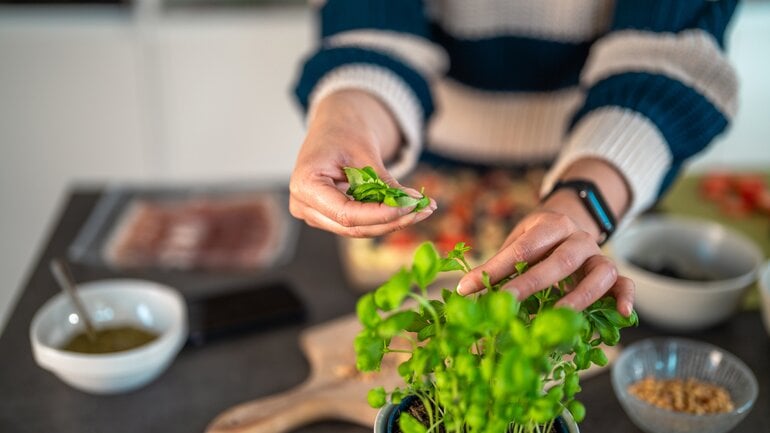 Fruchtfliegen bekämpfen: Diese Pflanzen helfen beim Loswerden
