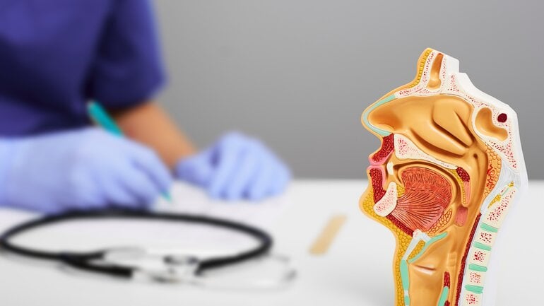 Nasenschleim wird ständig geschluckt