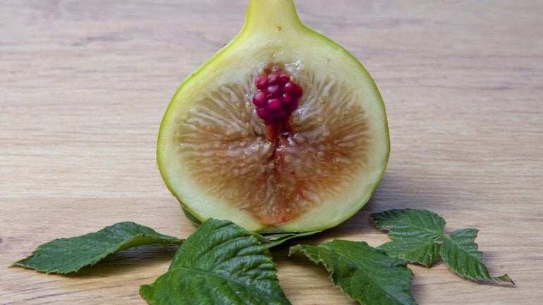 Vergrößerte Klitoris: Klitorishypertrophie