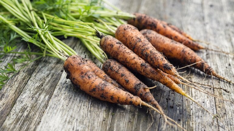 Krebs: Farbiges Gemüse schützt die Zellen