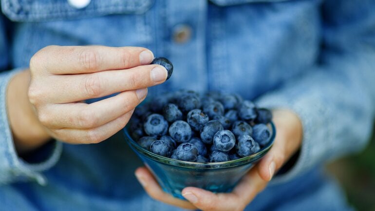 Heidelbeeren unterstützen die Nieren