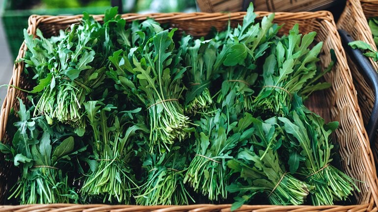 Bittere Salate können Nieren unterstützen
