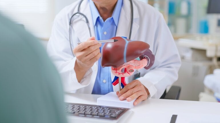 Die Leber verfügt über erstaunliche Reserven