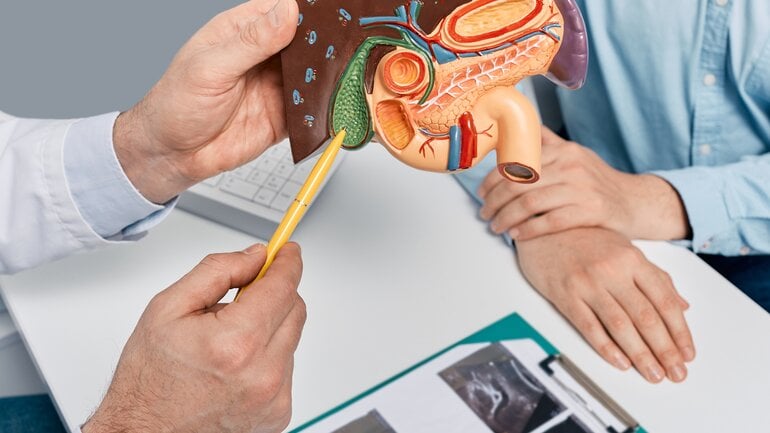 Erkrankungen der Gallenwege: Ursache einer Leberzirrhose