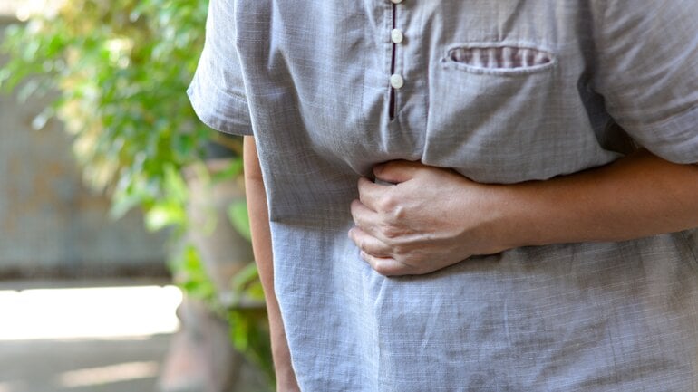 Bei Leukämie häufig befallen: Die Milz