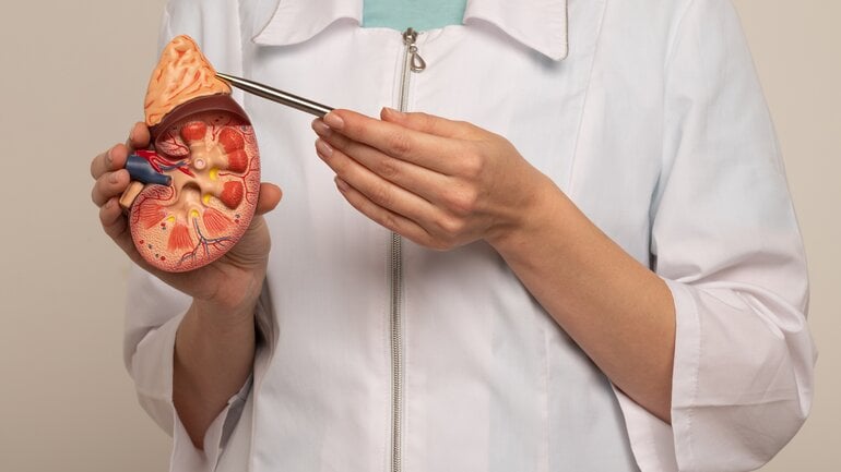 Seltene Krebserkrankung: Nebennierenrindenkarzinom