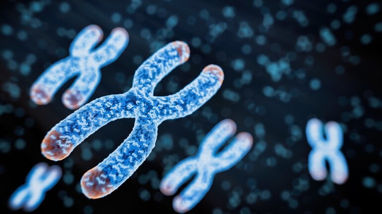 Diabetes Typ 3h: Genetische Syndrome