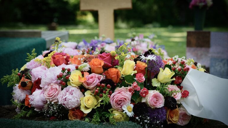 Mikroorganismen übernehmen