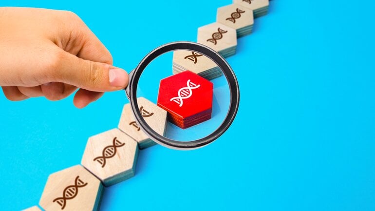 Wie entsteht Krebs? Schäden in der DNA 