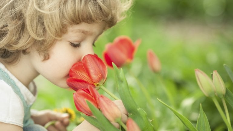 Das Bild zeigt ein Kind, das an einer Tulpe riecht.