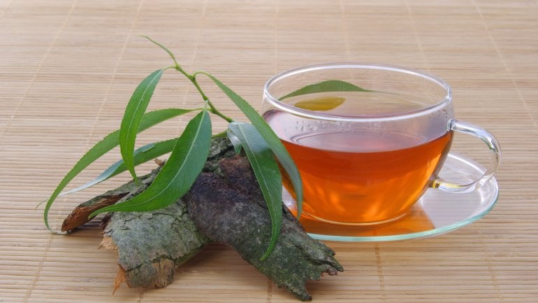Tee aus Weidenrinde als Hausmittel gegen Ischias