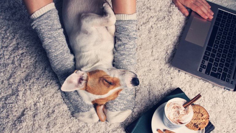Eine Frau sitzt mit Laptop und Kaffeeetablett auf einem Teppich, an ihren Füßen liegt ein Hund.