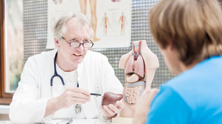 Ein Arzt zeigt einem Patienten ein Modell von einer Leber. 