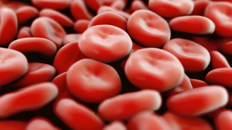 Man sieht rote Blutkörperchen.